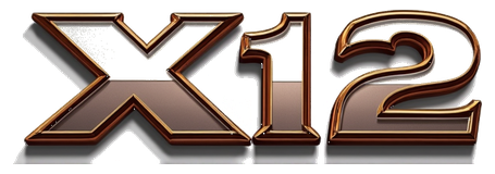 x12 logo